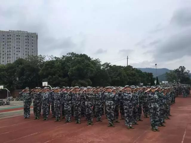 1505724011999078748.jpg 5432.jpg